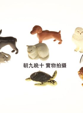 日本MIDORI迷你卡通迷你冰箱贴磁力贴创意可爱动物磁性冰箱贴