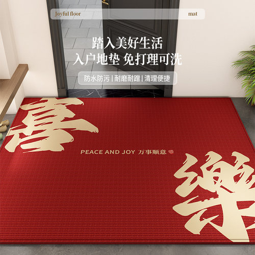 耐脏防滑高级进门玄关脚垫免洗