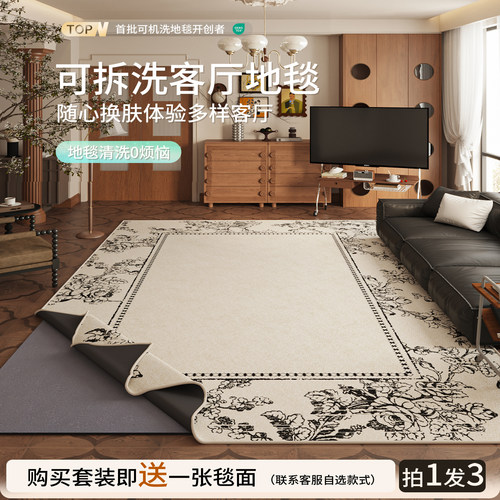 2025新款双层可拆洗地毯