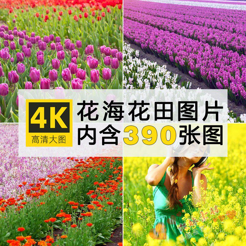 花海花田花卉花朵高清4k手机电脑壁纸jpg图片抖音快手自媒体素材