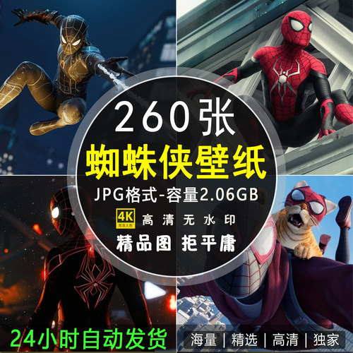 260张蜘蛛侠SpiderMan4K超清壁纸ipad电脑壁纸Mac壁纸电子版图片