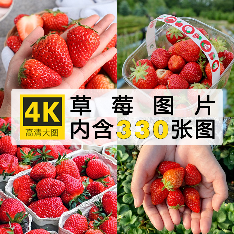4K高清红色草莓图片 新鲜水果采摘草莓汁果园JPG照片设计素材