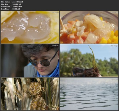 水椰子果实果肉特写船只河流游览两岸风光高清视频素材