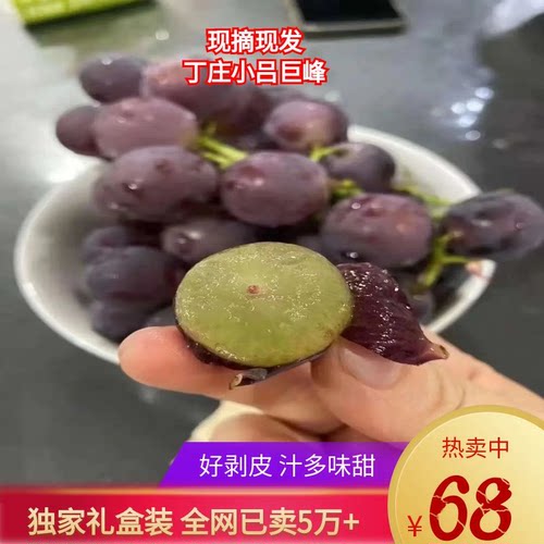十二年老店巨峰葡萄丁庄新鲜