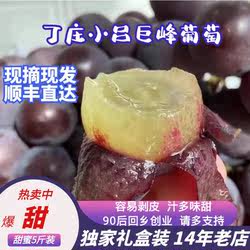 正宗丁庄巨峰葡萄当季句容特产新鲜孕妇现摘水果5斤整箱冷链包邮