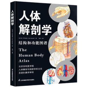 人体解剖学结构和功能图谱肯阿什威尔著马超译人体解剖学图谱全彩解刨速记医学生用书医学人体结构图谱基础医学书江苏凤凰科技出版