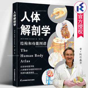 人体解剖学结构和功能图谱肯阿什威尔著马超译人体解剖学图谱全彩解刨速记医学生用书医学人体结构图谱基础医学书江苏凤凰科技出版