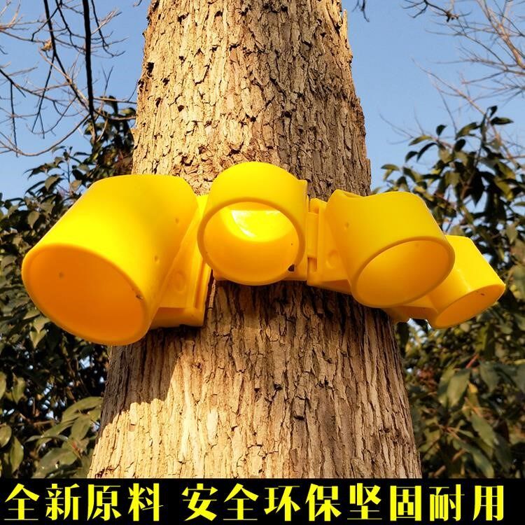 tree Bracket Seedlings Transplanting Retainer green Typhoon gardens Stick Support rod Plastic sleeve Bandagein the Flower delivery/Flowers simulation/Plants gardening , Gardening supplies , Other Garden Supplies  category - from Buy2taobao.com to provide professional Taobao agent buy service