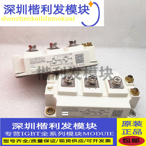 全新SKM150GB123D SKM200GB128D SKM300GB128DE SKM400GB12E4 176