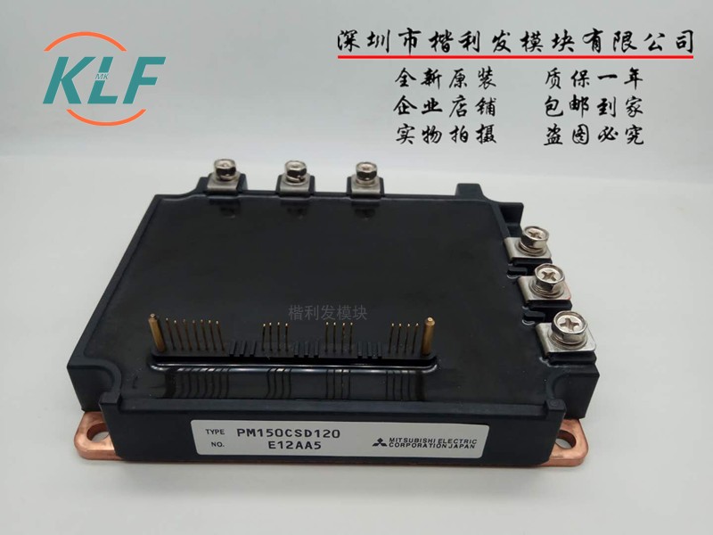 PM100RSD060 PM100RSD120  PM150CSD120 PM100CSD120 PM100CVA120