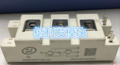 SGM75HF12A1V1 SGM50HF12A1V1 SGM100HF12A1V1现货