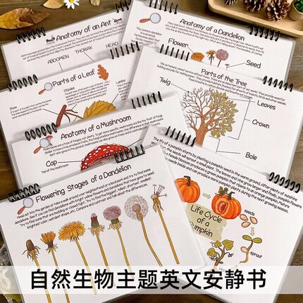 英文安静书自然生命周期科普认知儿童英语学习教具手工diy贴纸书