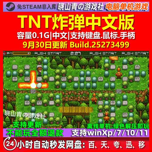 TNT炸弹 TNT Bomb 中文版 电脑PC单机游戏