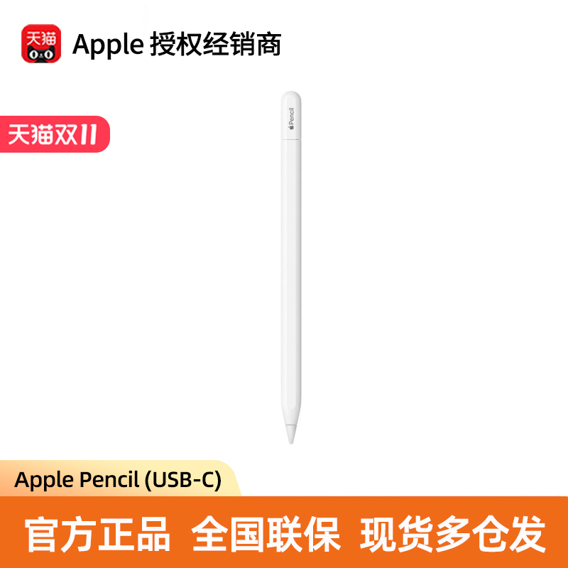 Apple/苹果 Apple Pencil (USB-C)  磁吸触控笔手写笔适用于新iPad mini/Pro (M4)/Air (M2)/iPad10