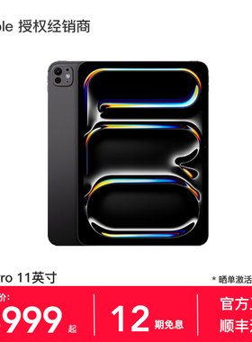 【12期免息】Apple/苹果 iPad Pro 11英寸 平板电脑 2025款 M5芯片 WiFi版 官方正品