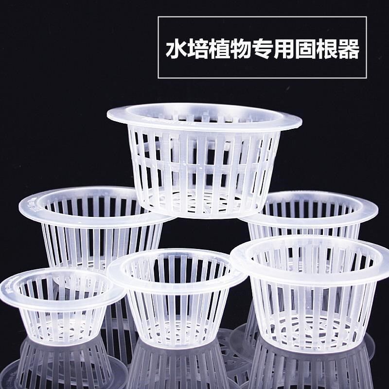无土栽培水培定植篮鱼缸花盆固定其它园艺用品