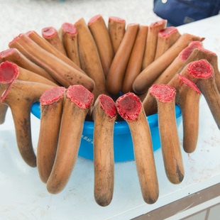 鲜鹿茸整根新鲜带血梅花鹿茸片泡酒专用整枝鹿角头茬正品吉林药材