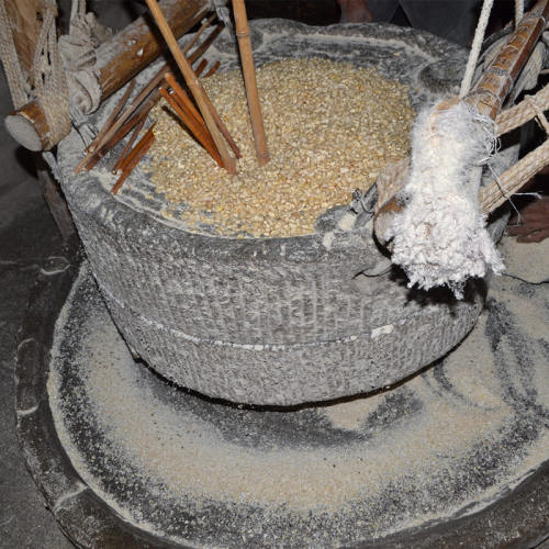 石磨后的玉米 白玉米 white corn flour  请先看介绍