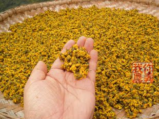 野菊花  50克 散装 先看介绍再买