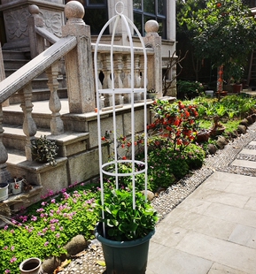 铁艺花架圆柱花架铁制花支架月季爬藤架藤月铁线莲柱形花架加粗