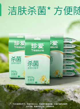 珍爱绿茶祛油洁面湿巾独立装10片