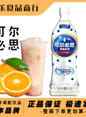 可尔必思瓶装1.2L乳酸菌