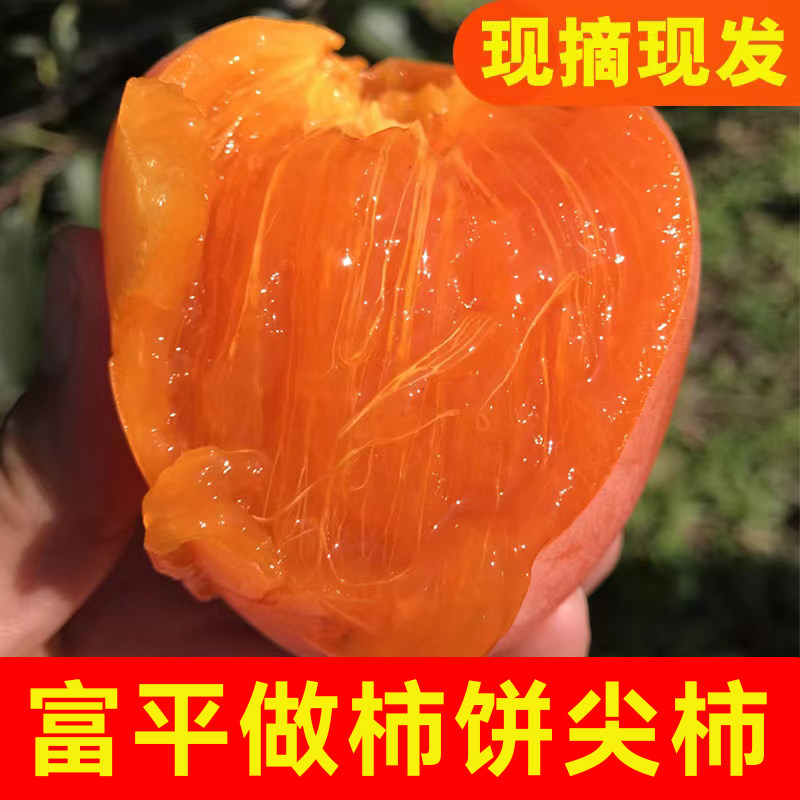 正宗富平大尖柿2025新鲜柿子应季整箱5斤甜柿软柿孕妇水果柿子,水产肉类/新鲜蔬果/熟食,柿子,淘宝优惠券,粉丝福利购,淘宝优惠卷