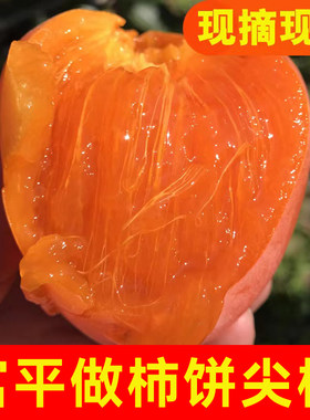 富平尖柿甜软甜柿饼柿子大尖柿