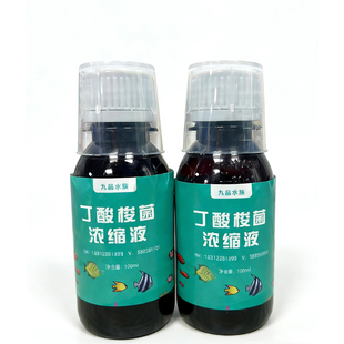 丁酸梭菌 观赏鱼用 可泡鱼食 改善鱼缸水质 增强鱼体质