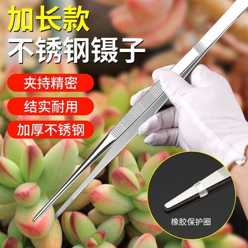 多肉专用镊子园艺工具不锈钢夹子