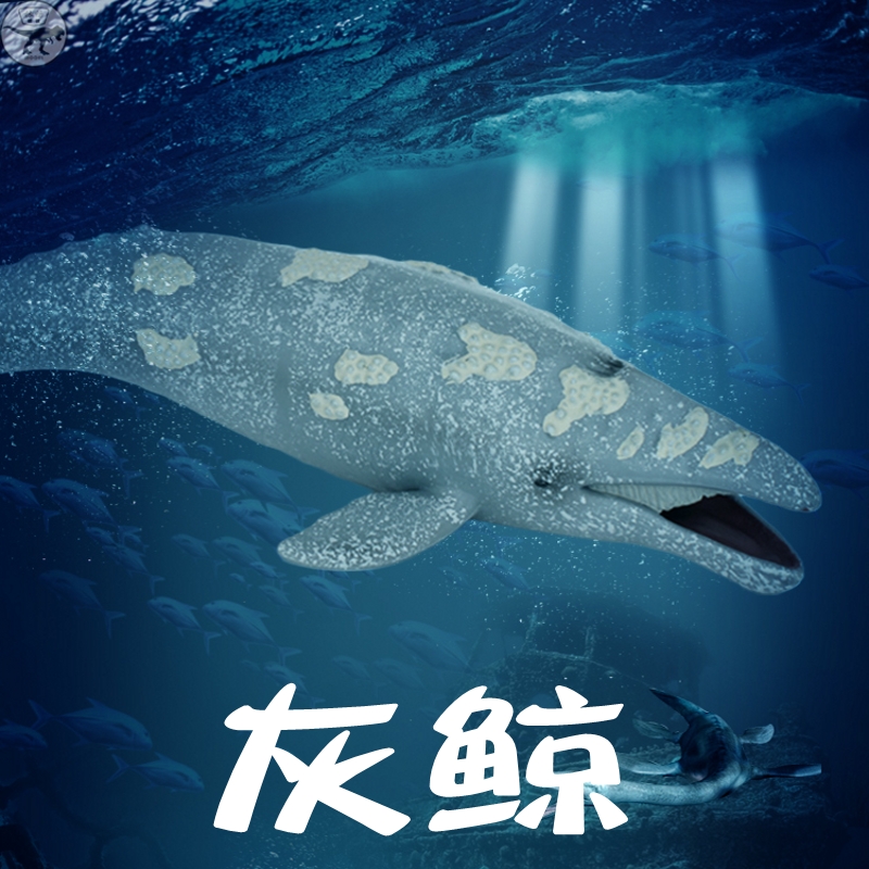 仿真动物海洋世界大号鲸鱼鲨鱼模型灰鲸套装海底生物儿童玩具摆件