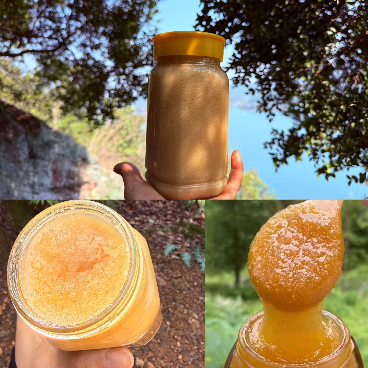 【夏季野生蜂蜜】江西赣江中华蜂土蜂蜜野生百花蜜农家野外蜂