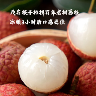 【顺丰快递】广东茂名高州根子柏桥村白糖罂荔枝新鲜现采不泡水