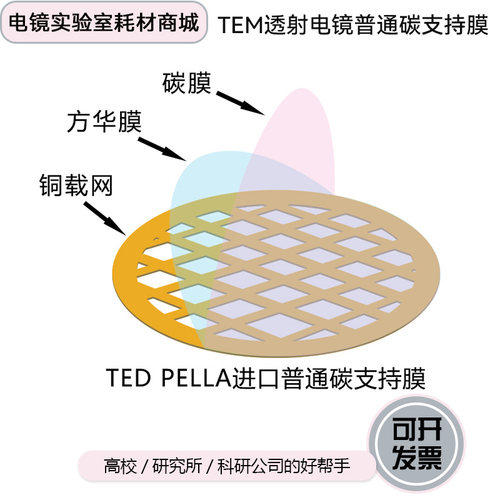 TED铜网碳膜透射电镜普通支持膜