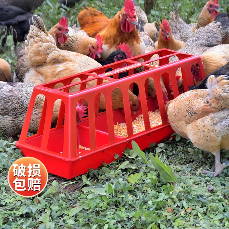 鸡食槽防撒大号长方形喂鸡食槽喂水槽加厚鸡鸭喂食器养殖鸡食槽