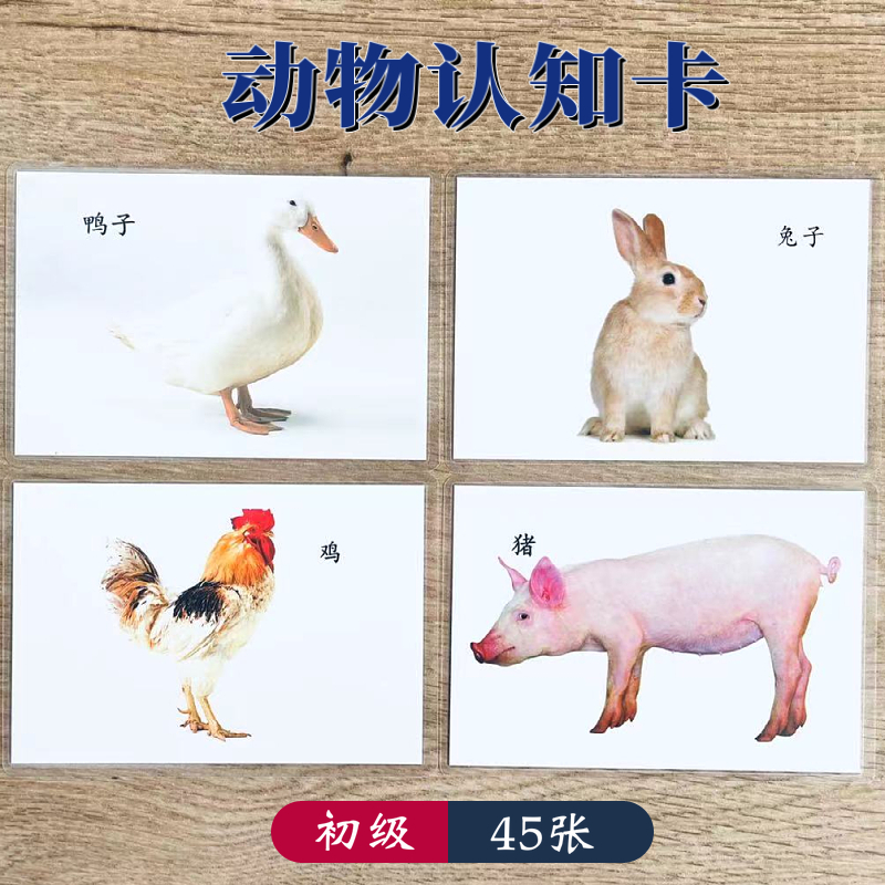 动物自闭症发育迟缓认知康复训练