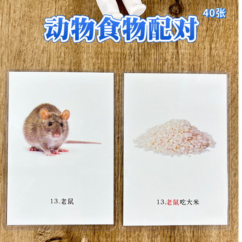 动物食物配对发育迟缓自闭症训练