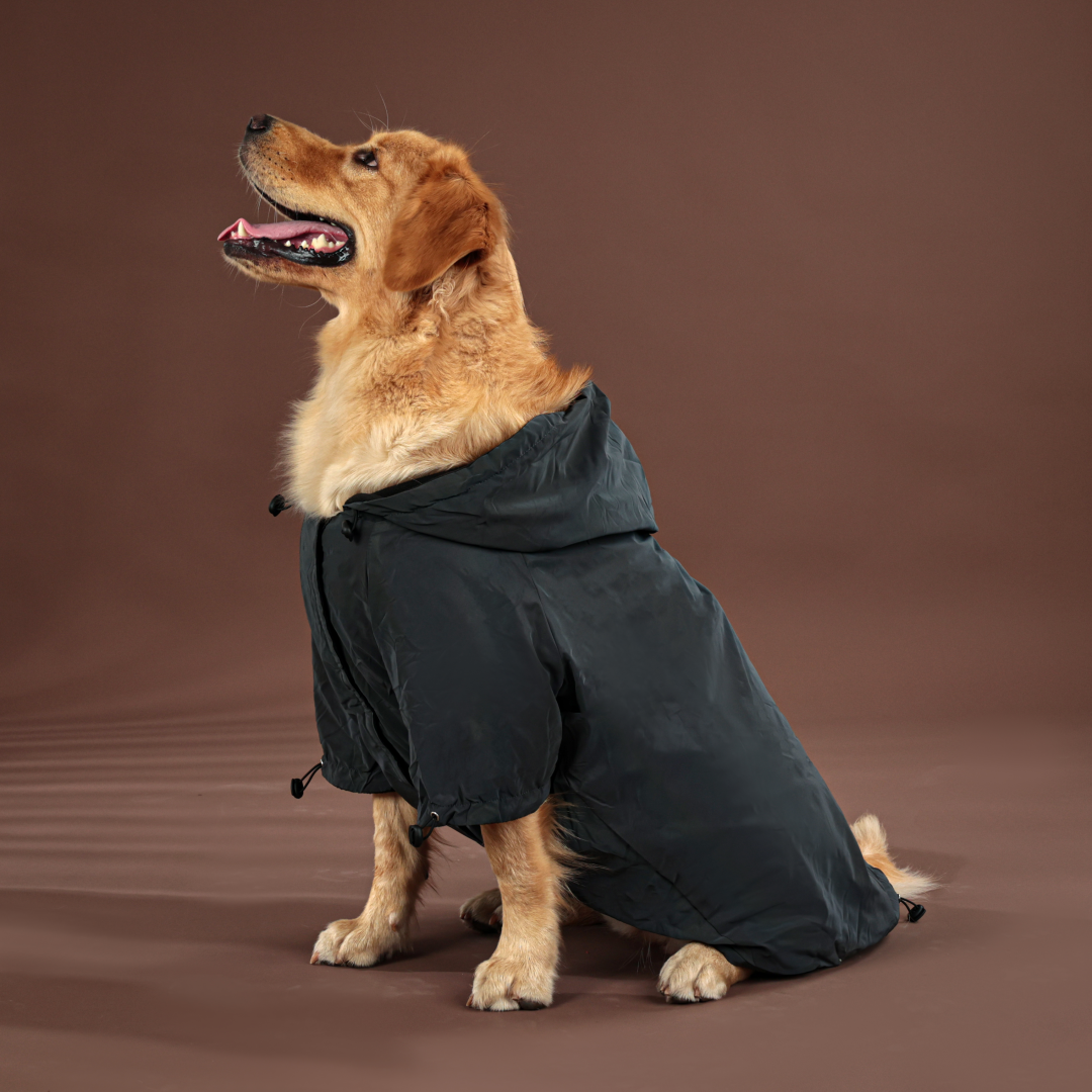 宠物大型犬潮牌炫彩冲锋衣秋冬衣服保暖防泼水酷,宠物/宠物食品及用品,狗宠物服装/雨衣,淘宝优惠券,粉丝福利购,淘宝优惠卷