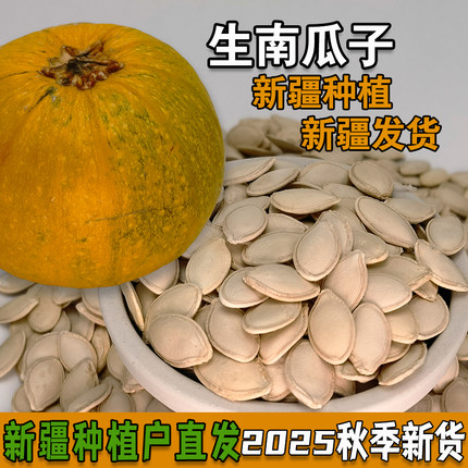 生南瓜子新疆南瓜子2025新货中大片熟南瓜子大颗粒炒南瓜子原味