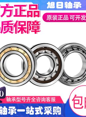 FAG进口轴承N NU NJ NUP 319 320 321 322-E-XL-TVP2-M1-JP-C3 C4