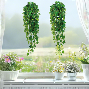 创意小清新绿植吊兰贴画静电窗贴卧室飘窗玻璃窗户装饰窗贴纸绿萝