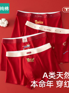 全棉本命年红色内裤青少年男童儿童纯棉a类中大童发育期马年2026