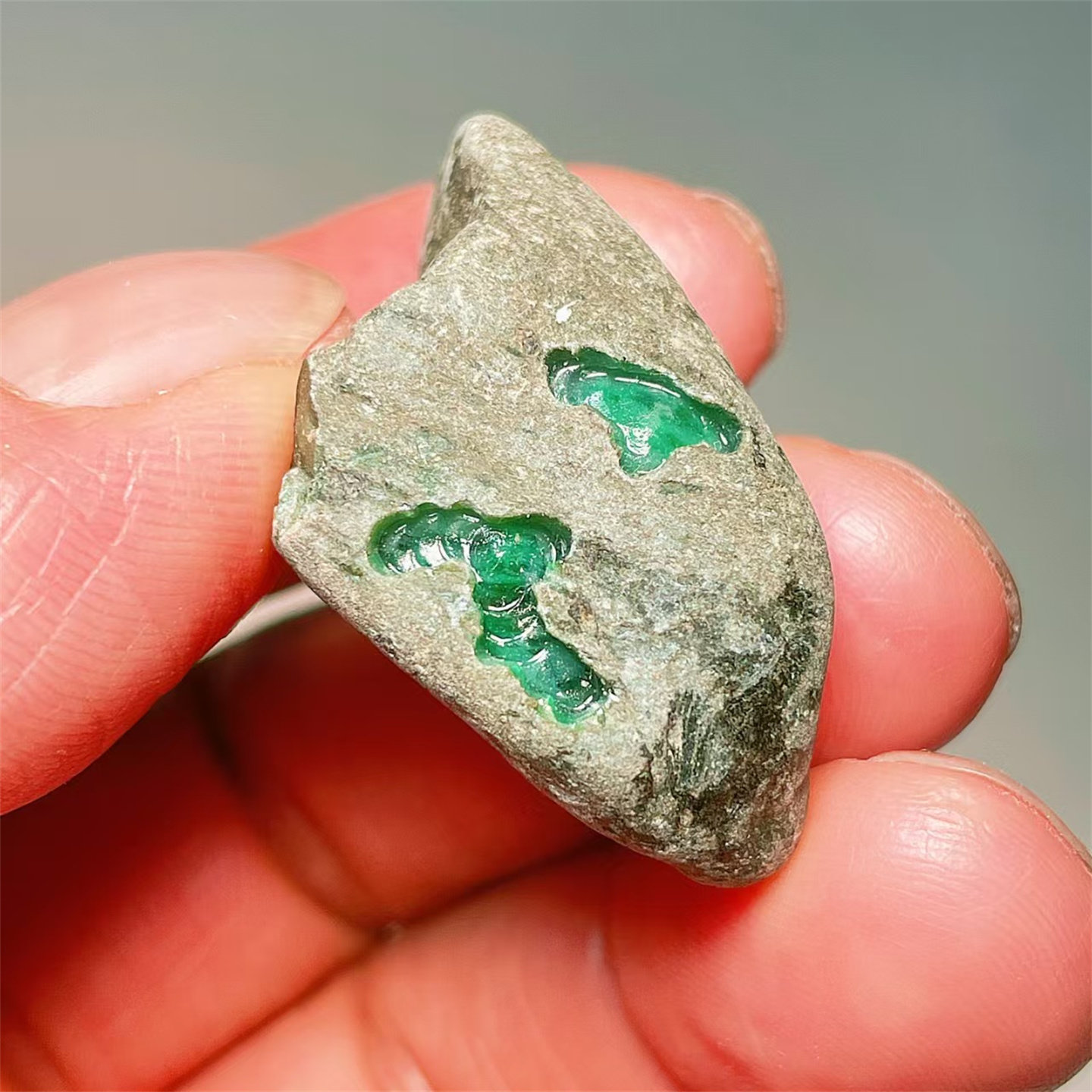 A44 精品缅甸天然翡翠原石老坑后江场口色料戒面料  重19克