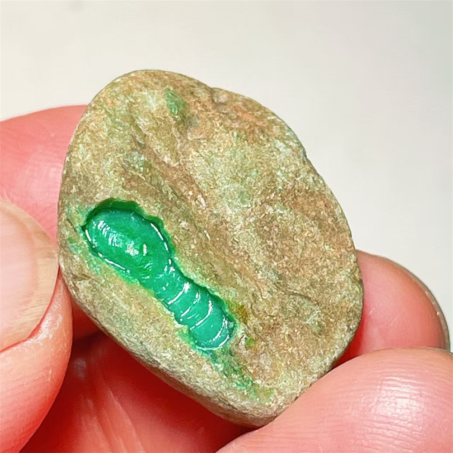 A45 精品缅甸天然翡翠原石老坑后江场口色料戒面料  重9克