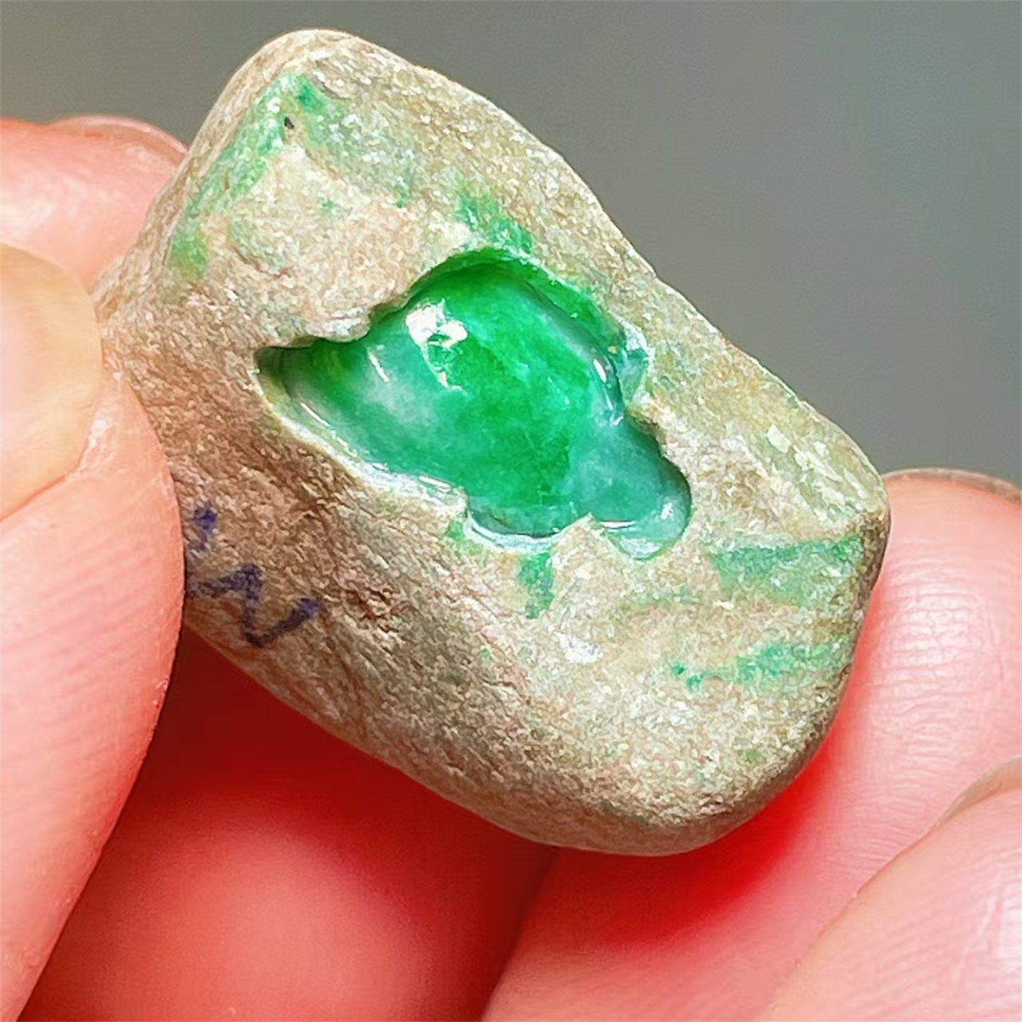 A68 精品缅甸天然翡翠原石老坑后江场口色料戒面料  重10克