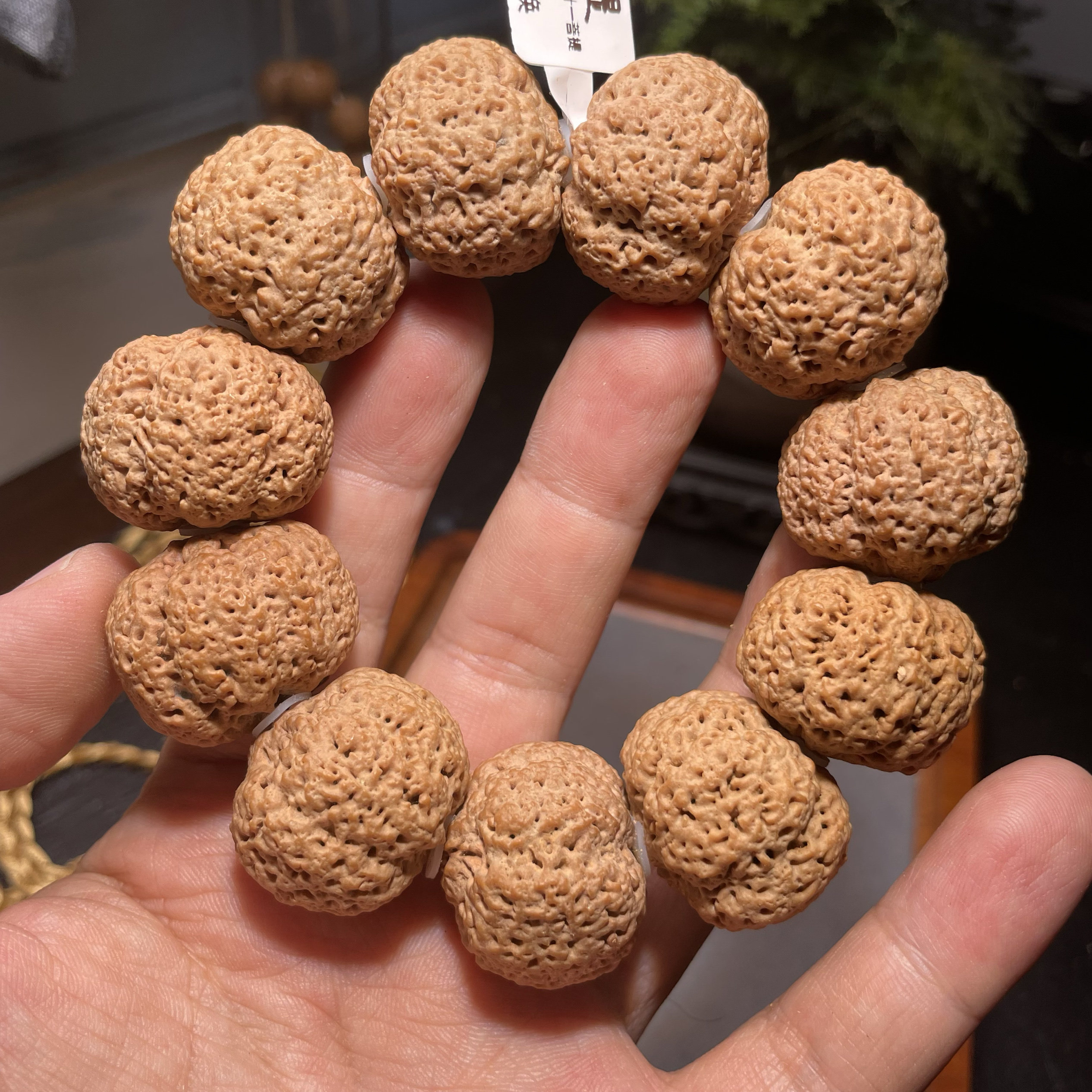 25年尼泊尔状元系列福菠萝蜜大金刚菩提手串五星满肉平头平尾首发