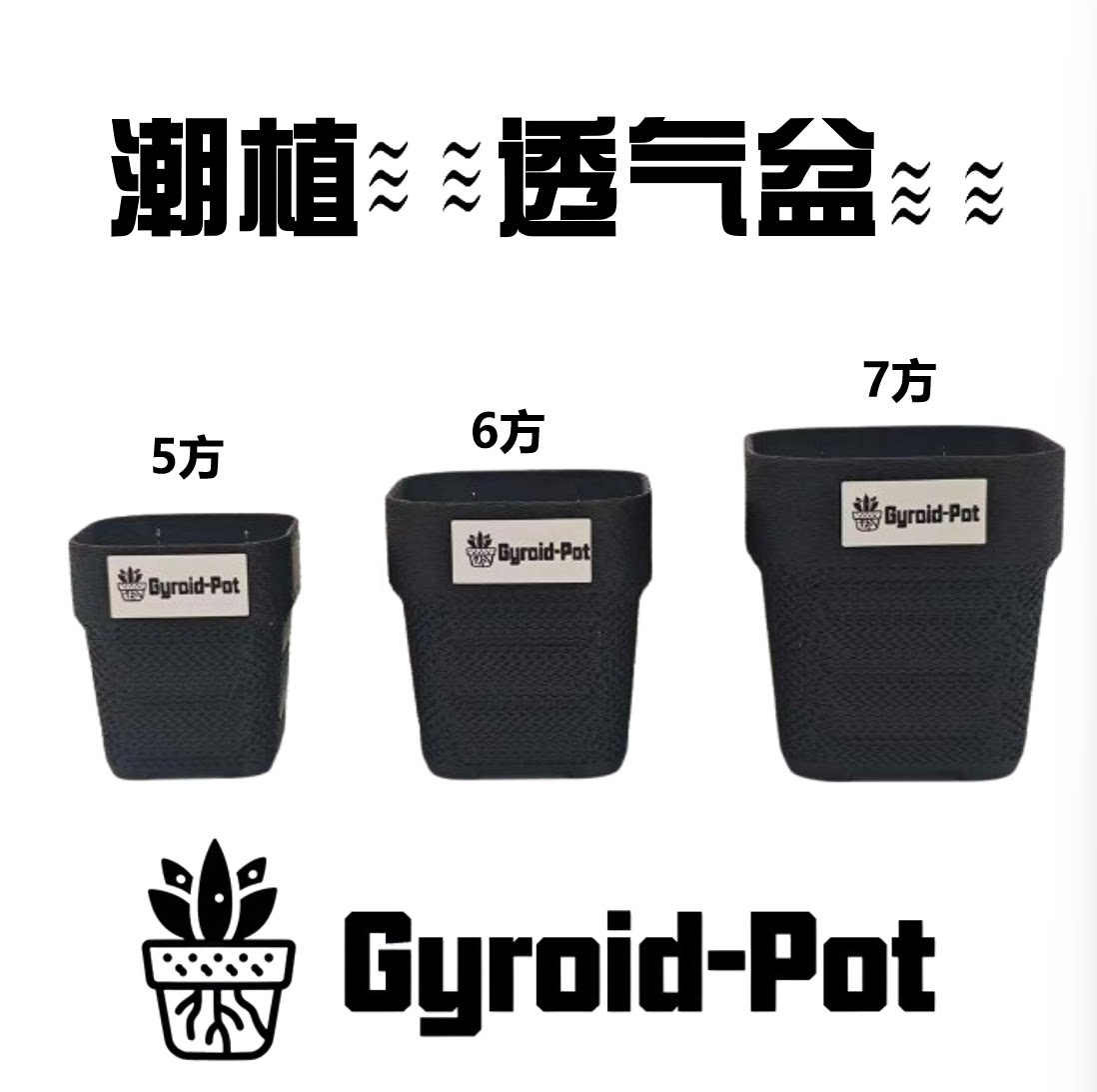 潮流多肉番杏科肉锥风铃玉生石花水泡仙人球植物透气小方盆小黑方