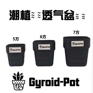 潮流多肉番杏科肉锥风铃玉生石花水泡仙人球植物透气小方盆小黑方