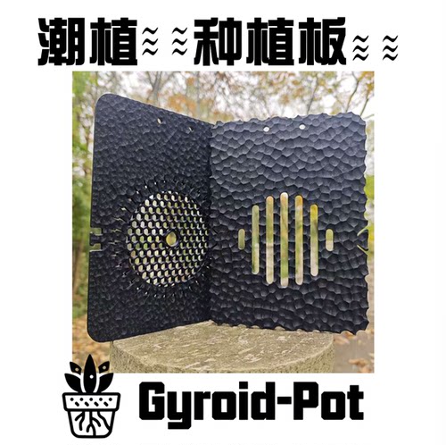 鹿角蕨种植石斛热植通用植板