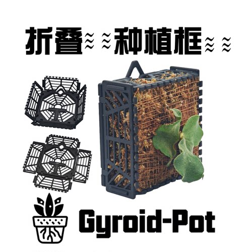 新手上墙神器鹿角蕨种植框